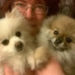 Deborah Greer-Ploehn - @daploehn - Instagram