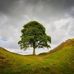 Deborah Grieves - Facebook