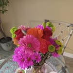 Debra Griffin Grieve - @myloss01 - Instagram