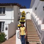 Deborah Gunter - @deborah_gunter - Instagram