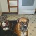Deb Barry Haight - Facebook