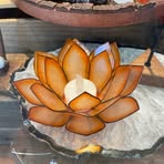 Deborah Halpern - Facebook