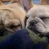 Deborah Hamm - @deborah.hamm0 - TikTok