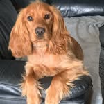 Deborah Hamm - @deborah.hamm.3 - Instagram