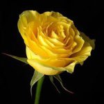 Debra Hammer - @debra.hammer2 - Instagram