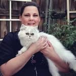 Deborah Hansen - @deborahhansencom - Instagram