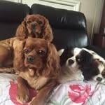 Deborah May Hanslip - @deborahhanslip - Instagram