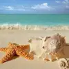 Deborah Harrell - @deborah.harrell - TikTok