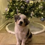 Deborah Harrell Welch - @deborah195 - Instagram