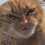 Deborah Seiler - @deborah.harte.seiler - Instagram