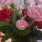 Deborah Harvin - @deborahgogirl - Instagram
