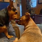 Debbie Hassinger - Facebook