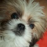Deborah Hassinger - @deborahhassinger - Instagram