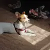 Deborah Hatcher - @deborah.hatcher5 - TikTok