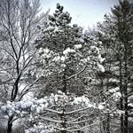Deborah Heald - @narraguagus - Instagram