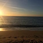Deborah Healey - @healey9636 - Instagram