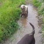 Deborah Healey - @deborah.healey.96 - Instagram