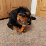Nanny Healey - @deborahhealey83 - Instagram