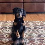 Deborah Heck - @heck4365 - Instagram