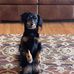 Deborah Heck - Facebook