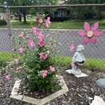 Deborah Helmick - Facebook