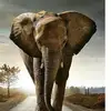 deborahannhendricks1 - @deborahannhendricks1 - TikTok