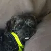 Deborah Henninger - @deborah.henninger - TikTok