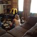 Debra Gilbert Henn - Facebook