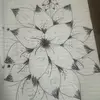 deborahenriquesns - @deborahenriquesns - TikTok