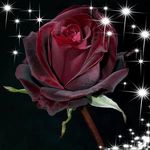 Deborah Hensley - @deb.hensley.505 - Instagram