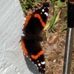 Deborah Hensley - Facebook