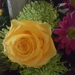 Deborah Hensley - @debbiehensley1 - Instagram