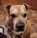 Deborah Hensley - Facebook