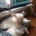 Deborah Herrington - Facebook