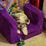 Deborah Heyman - @deborahheyman - Instagram