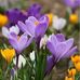 Deborah Heyman Kiester - Facebook
