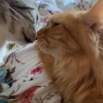 Deborah Higgs - @higgsdeborah - Instagram