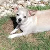 deborahhirscherjo - @deborahhirscherjo - TikTok
