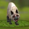 WhiteWolf12435 - @deborahholman7619 - TikTok