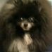 Deborah Holmberg - Facebook