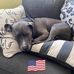 Deborah Holstein-Vacek - Facebook
