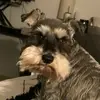 deborahholstein86 - @deborahholstein86 - TikTok