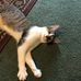 Debra Holstein - Facebook