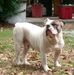 Deborah Holton - Facebook
