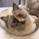 Deborah Holub - @deborah020458 - Instagram