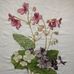 Deborah Hooker - Facebook