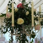 Deborah Hooper - @deborah.hooper.37 - Instagram