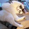 Deborah Claire Hopper - @deborah.claire.ho - TikTok