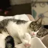 Deborah Houston Bowden - @deborah.houston.b - TikTok