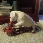 Deborah Howden - @deborah.howden.594150 - Instagram